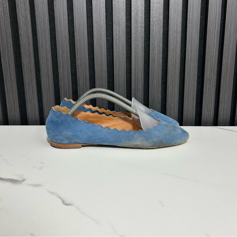 Chloe scallop blue Lauren ballet suede flats